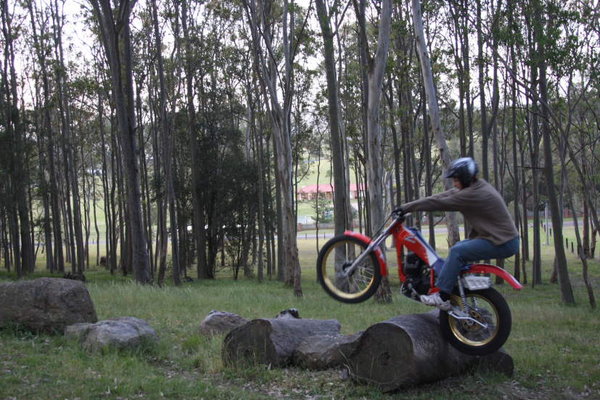 Reverse rock log combo 1.JPG