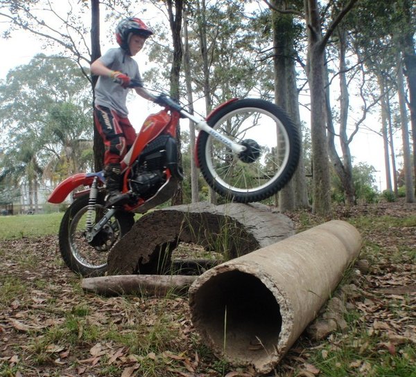 Over log.JPG