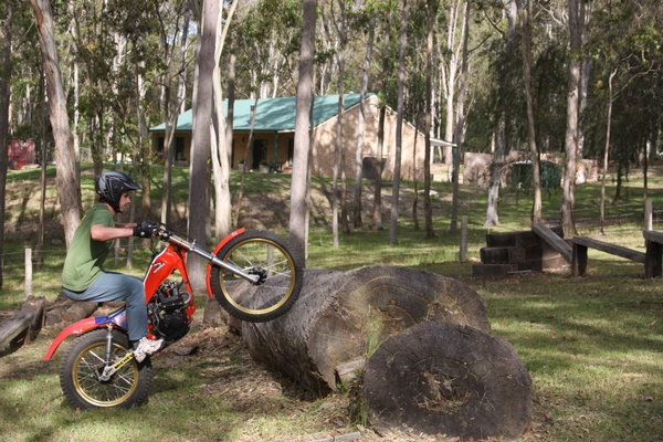 The large log