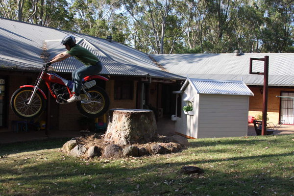 Tree stump 5.JPG