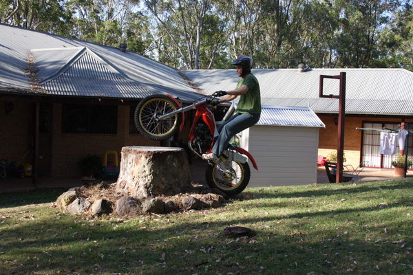 Tree stump 2.JPG