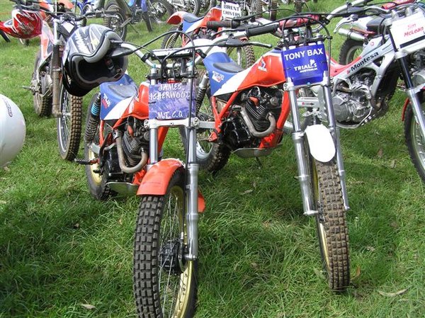 Tony Bax and Jamie Isherwood - first and second in Open Twinshock - both Honda TLR