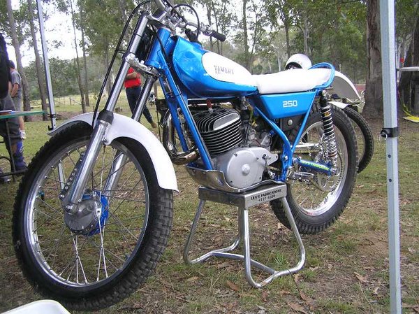 Mark Levinge TY250