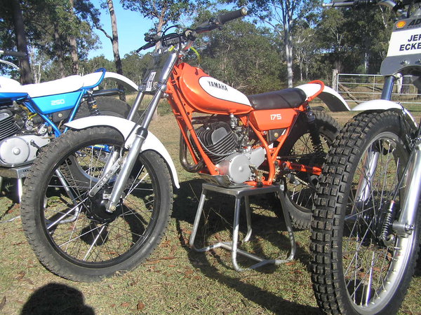 Mark Levinge TY175