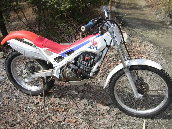 1989 Honda RTL 250