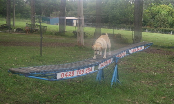 Jorja is always keen for some action!