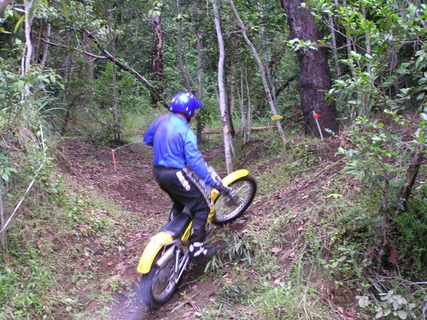 David Lahey Yamaha TY175