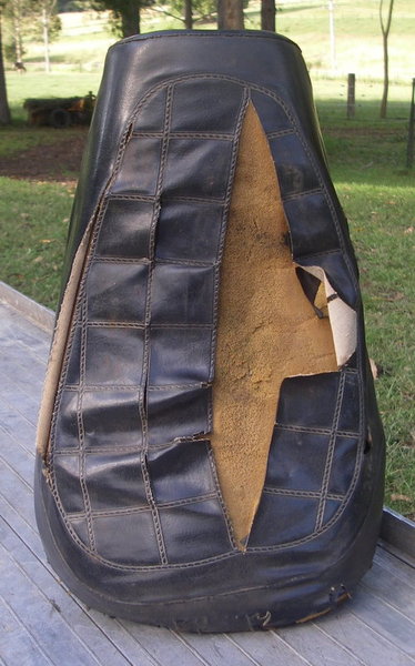 IMGP4054.JPG