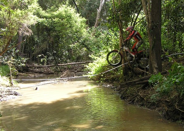 Frank jumping out into the creek