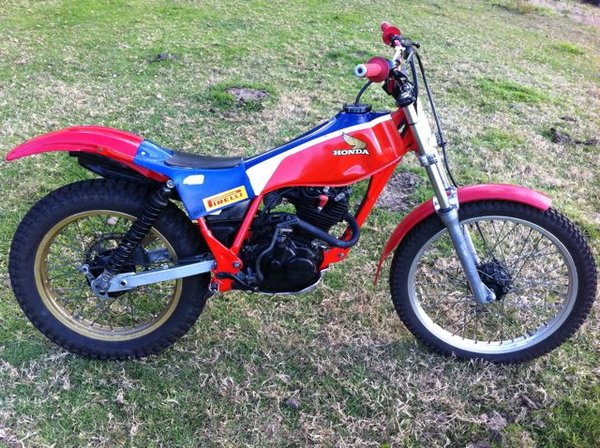 Garden variety TLR 200