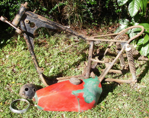 IMGP4690.JPG