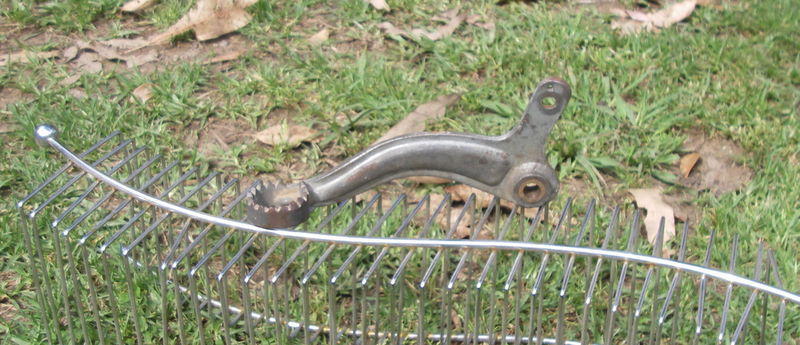 IMGP4720.JPG