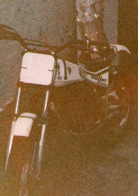 img195.jpg
