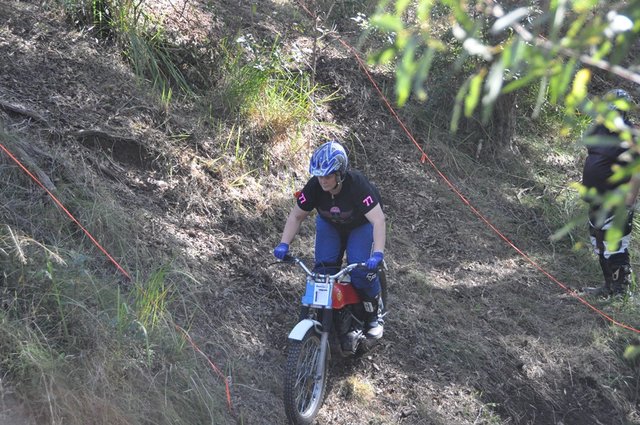 DSC_9568small.JPG