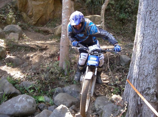 Hang On Now Dumb Ass!