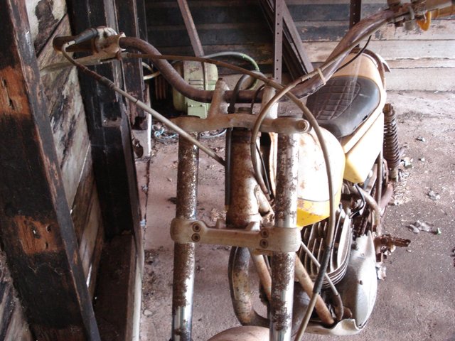 DSC02211 (2).JPG