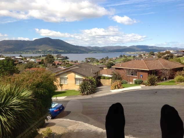 Out the window2