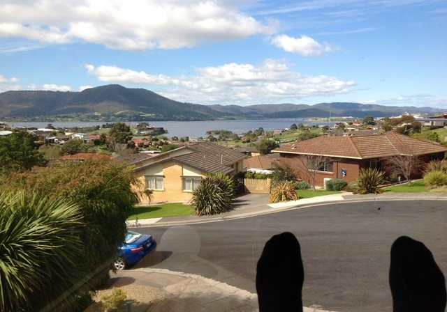 Out the window2 size 900